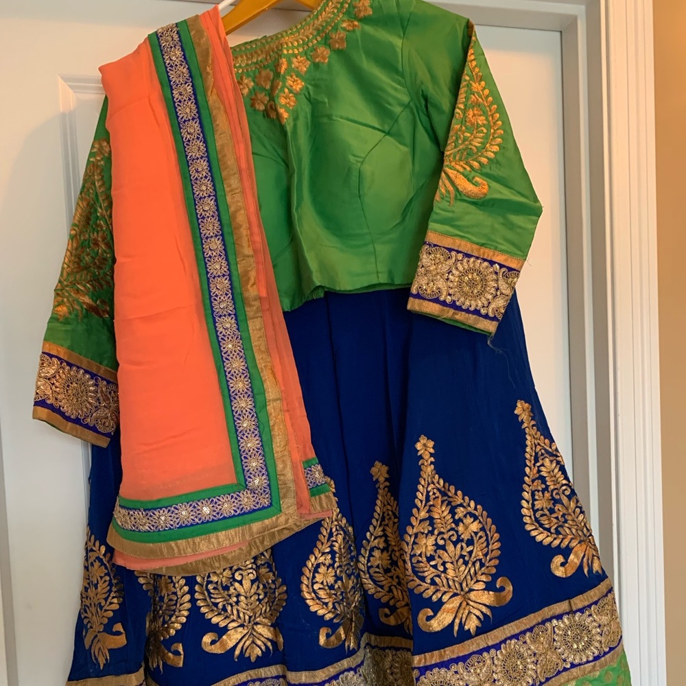 Beautiful Chania choli Blue , green and peach pink shade duppato